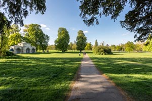 British-Summer-Time-Phil-Collins-in-Hyde-Park