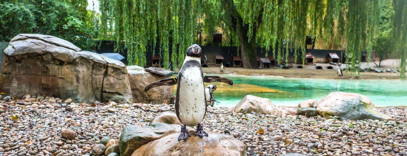 Parks, gardens & zoos